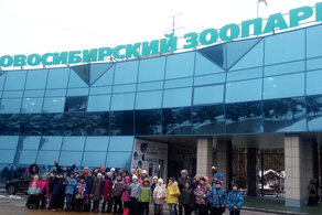 Фабрика мягкой игрушки/ Новосибирский Зоопарк